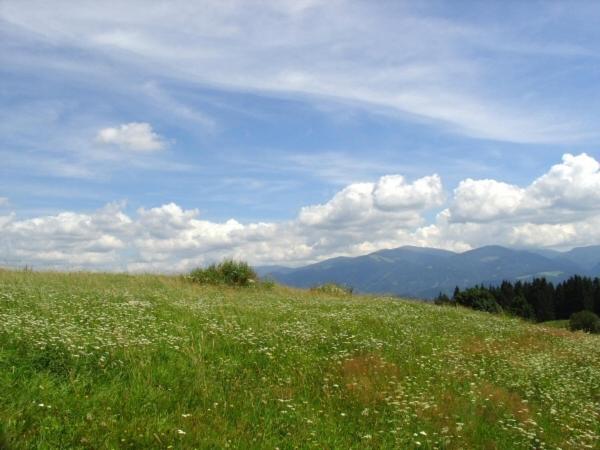 Вилла Hochfelner-Prutti - Stockerhof Sankt Marein bei Knittelfeld Экстерьер фото